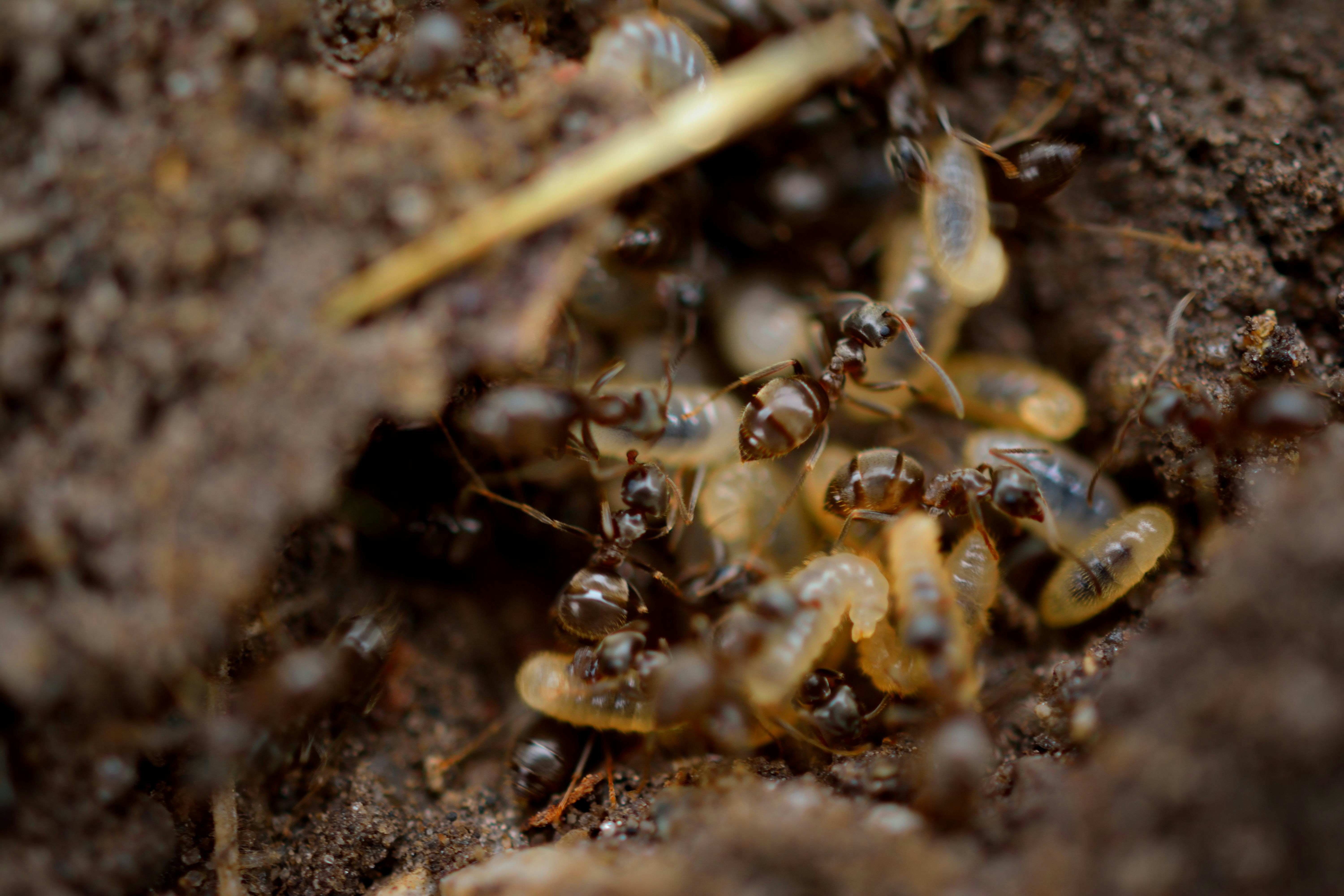 Formation continue — Termites Métropole